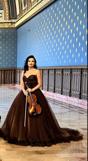 Brown sparkling gown dress