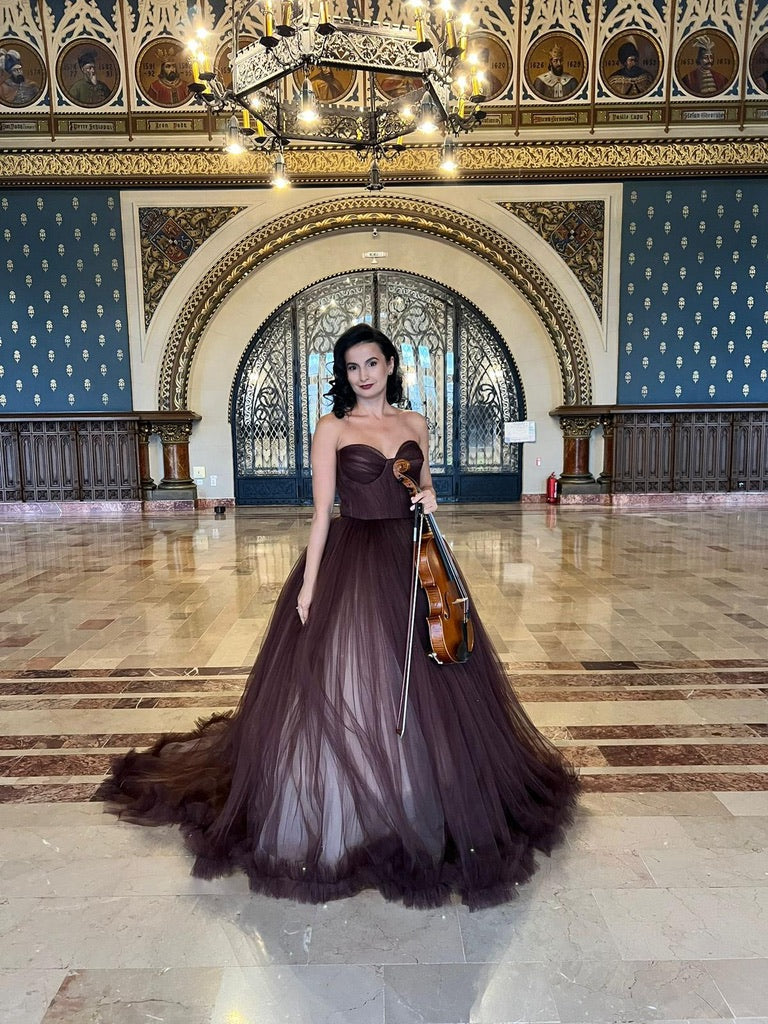 Brown sparkling gown dress
