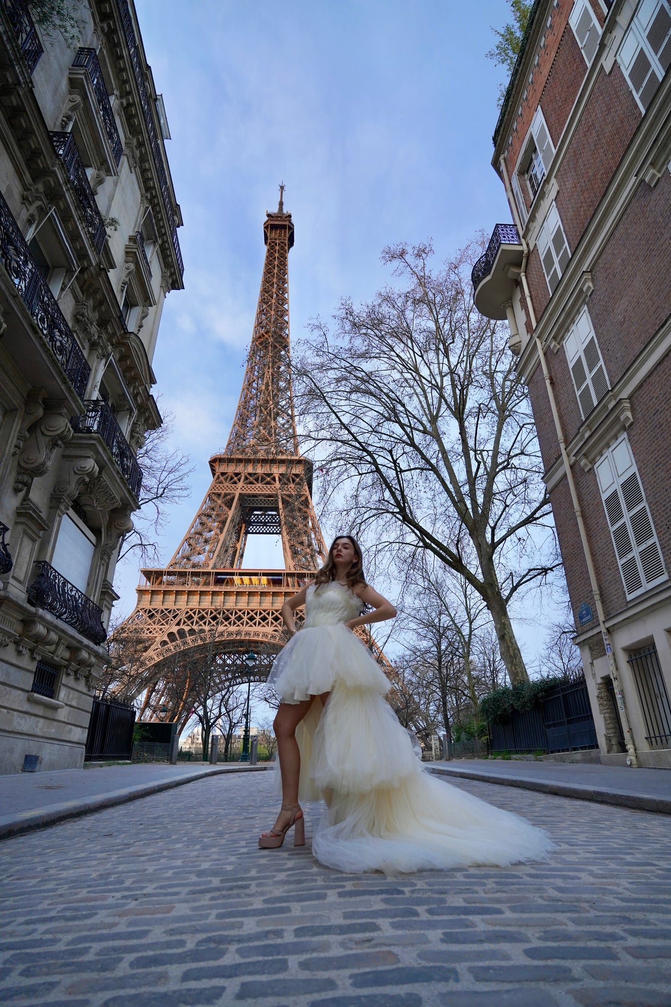 ELEGANT GALA DRESS EIFFEL